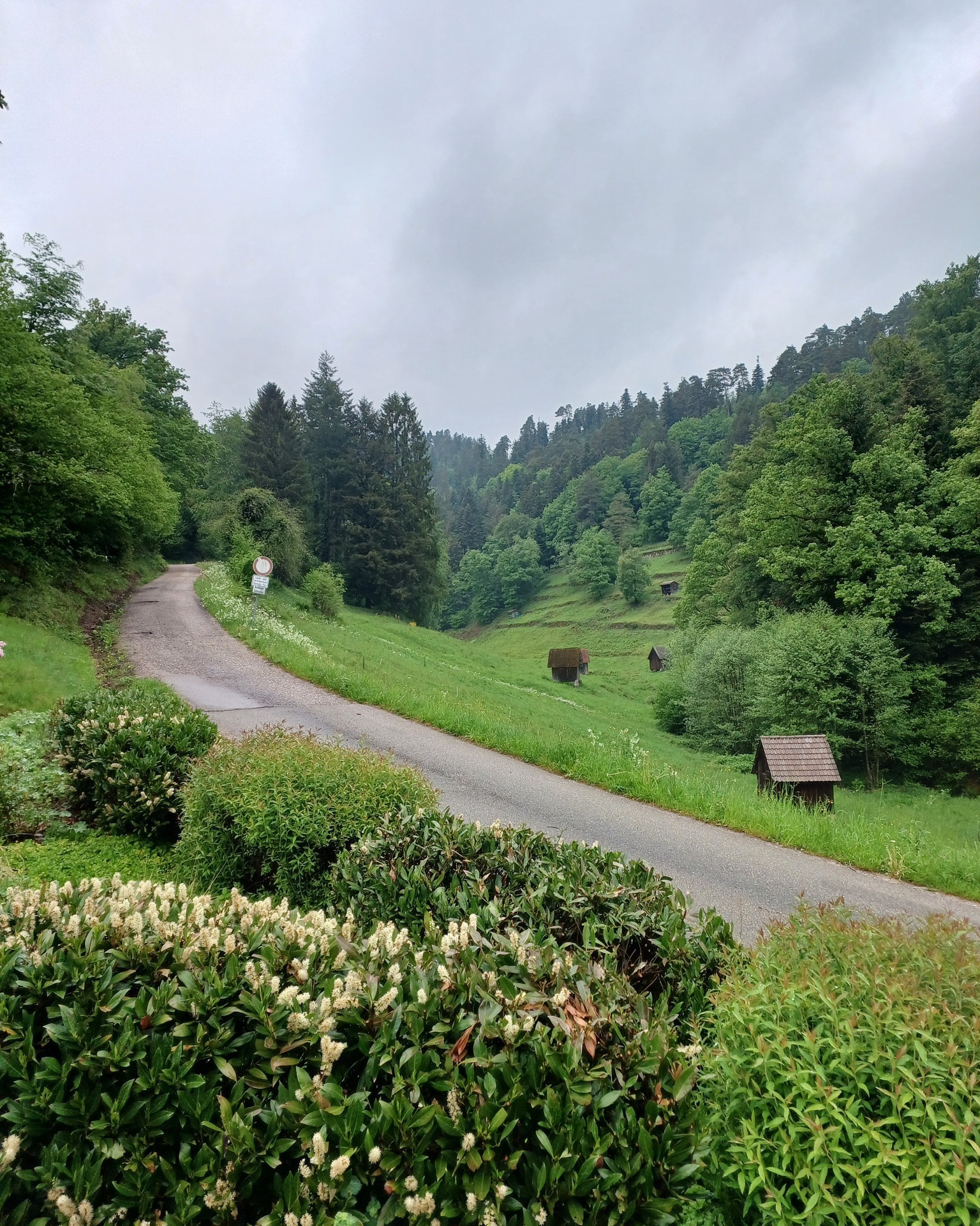 instagram post 🏃‍♀️ Bewegung pur im WPF 