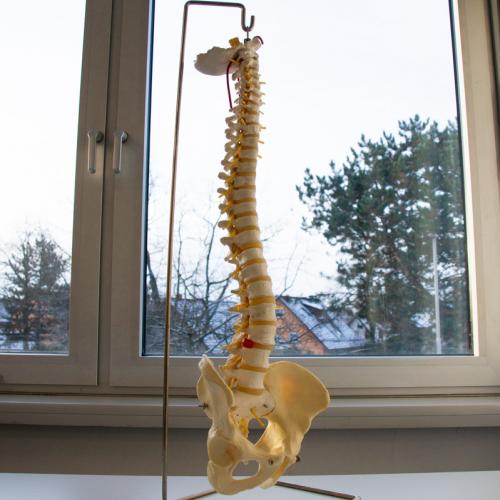 Gesundheitswissenschaftliches Gymnasium