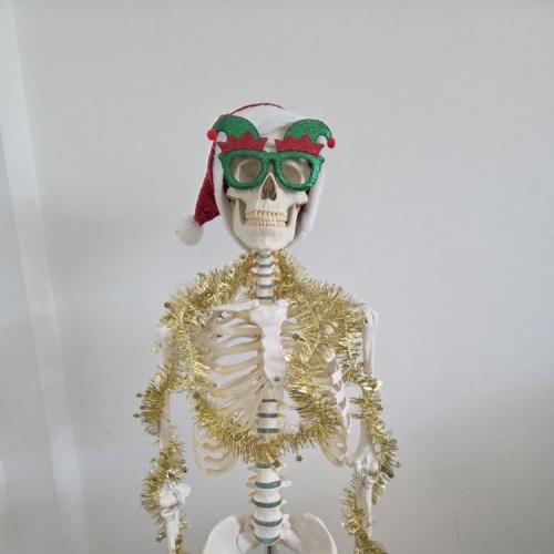 Verkleidetes Skelett