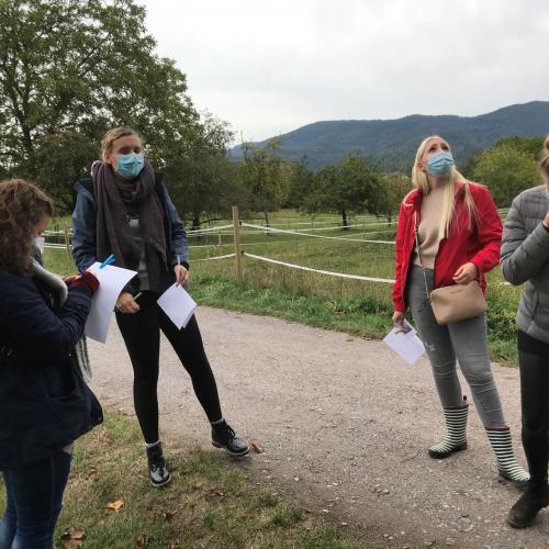 Streuobstwiesenlehrpfad