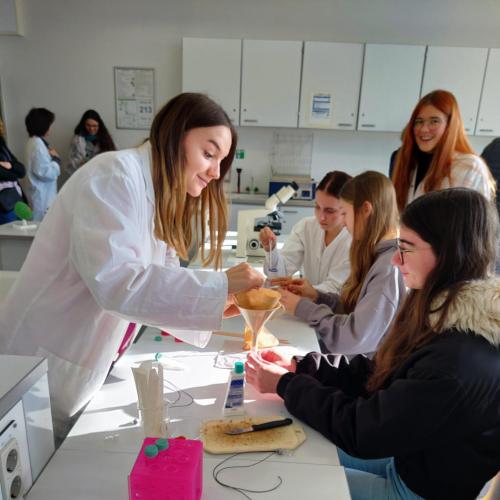 TdoT bei der Isolierung der DNA einer Tomate