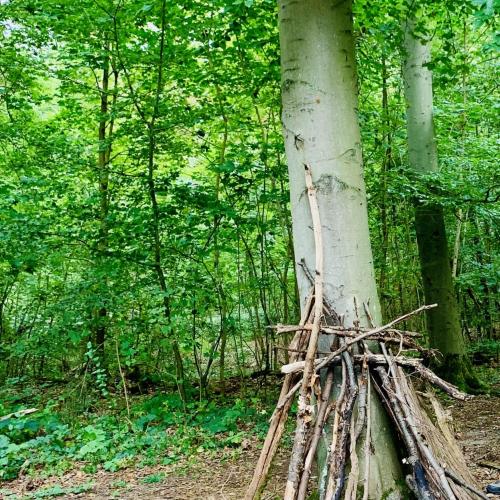 Waldzentrum Karlsruhe