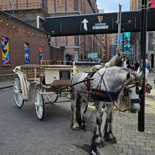 Studienfahrt nach Dublin