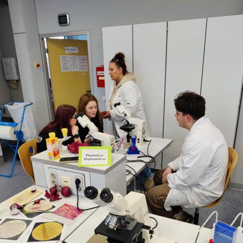 Impressionen vom Tag der offenen Tür