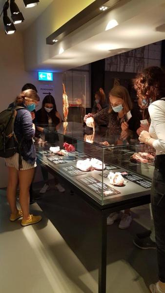 Körperwelten-Ausstellung