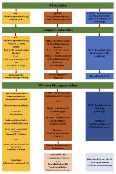 Bildungsgänge Schaubild