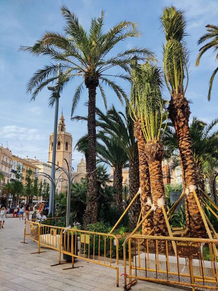 Studienfahrt nach Valencia