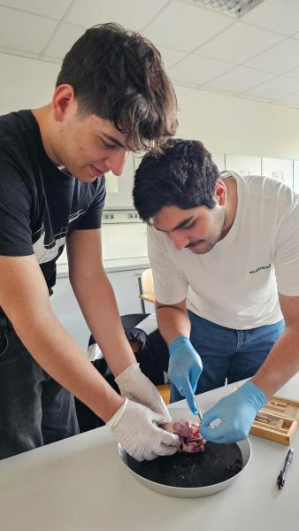 Klasse GG J1 durfte sezieren