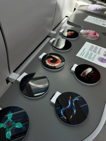 Im Heidelberger Museum